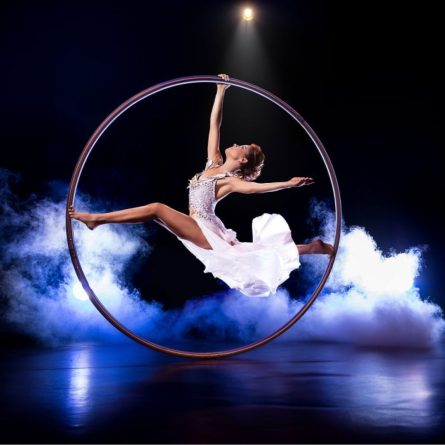Cyr Wheel – Stainless Steel in PVC covering (160 cm - 198 cm)